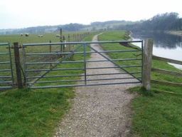 Image on trail